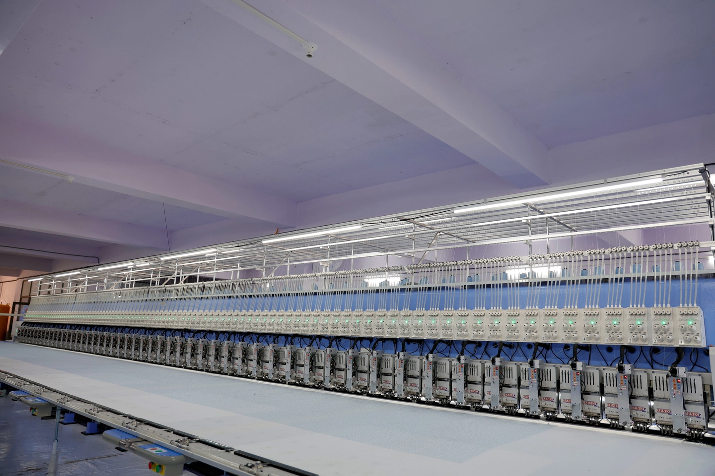 Mini Schiffli Machine